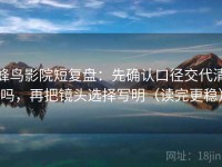 蜂鸟影院短复盘：先确认口径交代清吗，再把镜头选择写明（读完更稳）