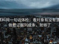 黑料网一句话体检：看对象有没有漂，做把证据列成条，就够了