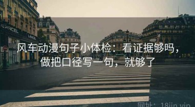 风车动漫句子小体检：看证据够吗，做把口径写一句，就够了